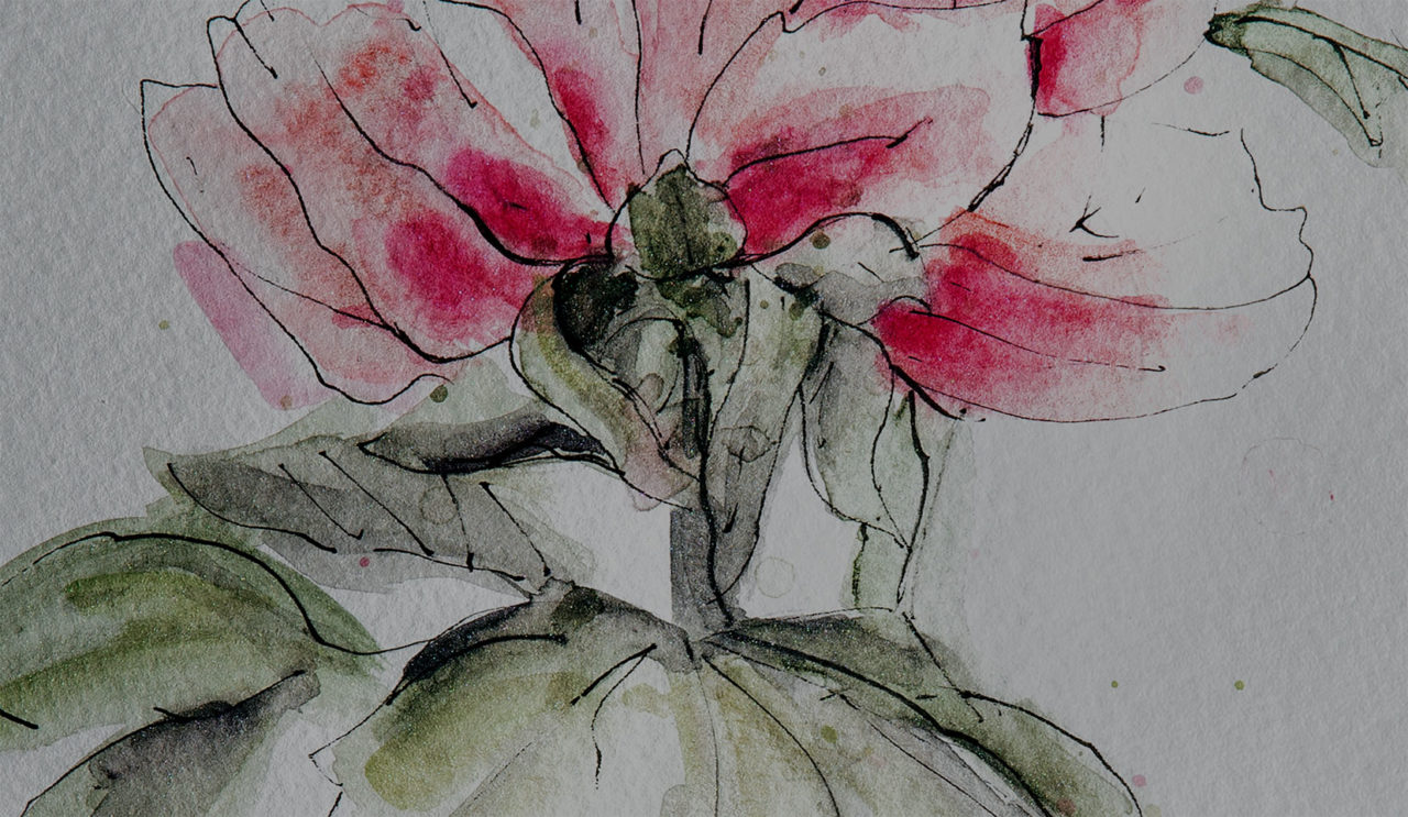 La petite fleur - Zoom sur une partie du dessin